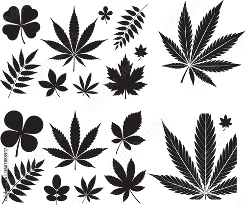 A comprehensive collection of diverse black silhouettes of various leaves, including cannabis, maple, and clover.