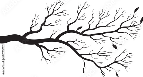 A pair of hand-drawn, snow-dusted, bare winter tree branches, perfect for seasonal and holiday-themed designs.