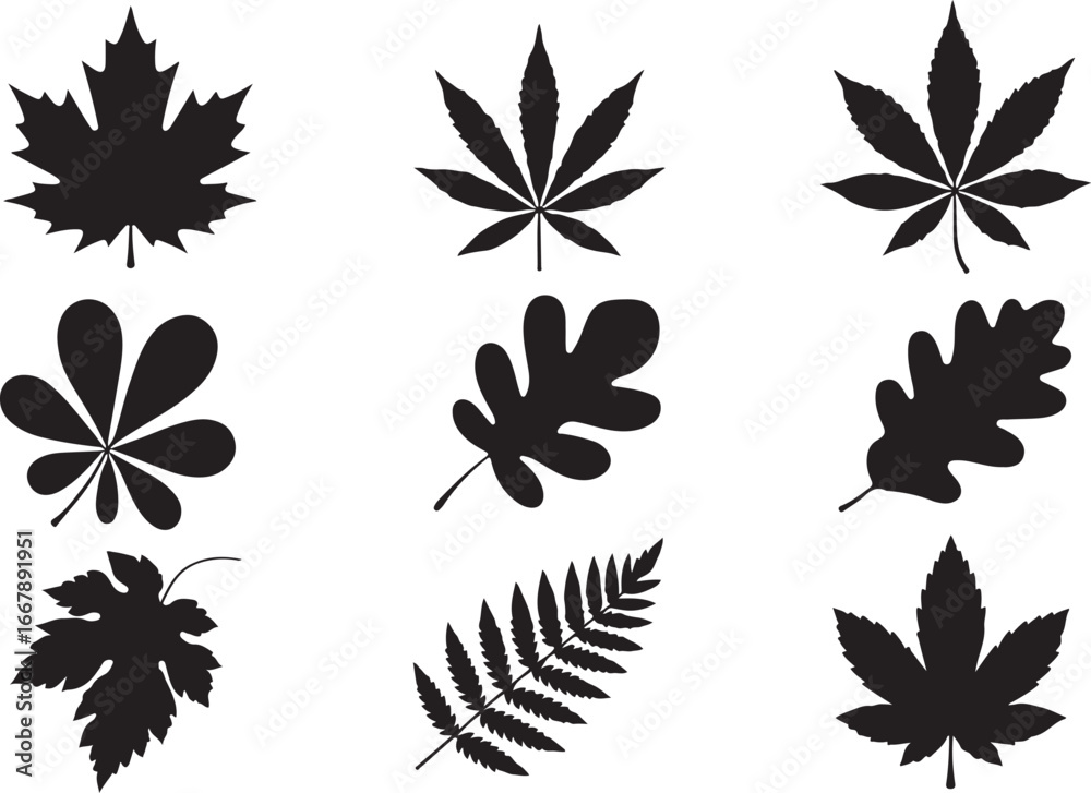 Obraz premium A collection of various detailed black silhouettes of different tree leaves, including maple, oak, and fern