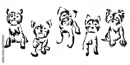 Vector drawing of a dog. Black and white gestalt design of a funny pet. Little doggy. Cute animal illustration.