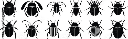 Beetle silhouette collection, insect vector illustration, entomology graphic, bug species icon, black and white insect art, biodiversity design, wildlife identification element
