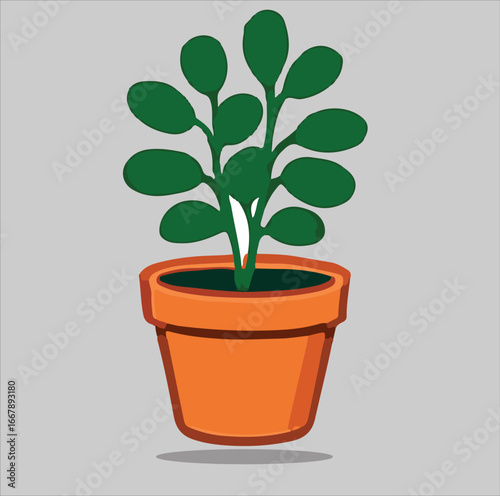 green plant in a pot