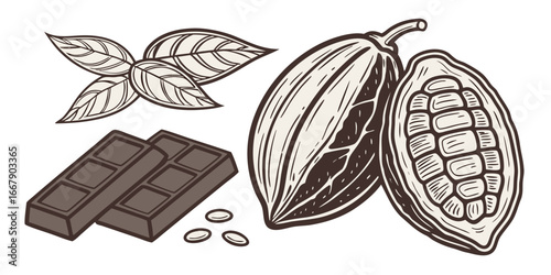 Chocolate elements hand drawn illustration collection