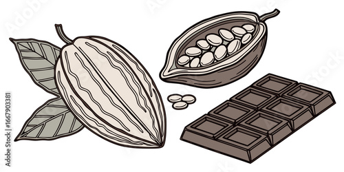 Chocolate elements hand drawn illustration collection