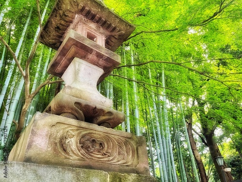 みずみずしい青竹を背景にした神社の灯篭