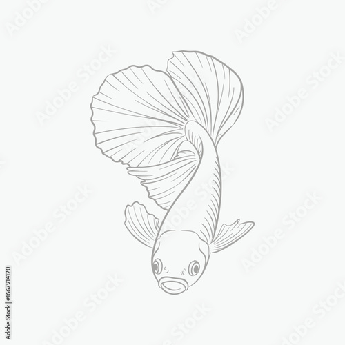 Elegant Betta Fish Line Art Siamese fighting fish aquatic