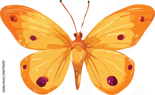 butterfly vector art