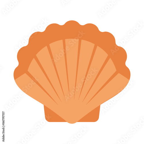 Orange scallop shell illustration seashell ocean