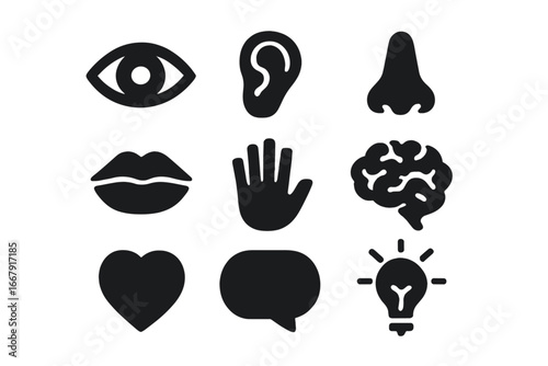 Five senses solid glyph icon set. Vector symbols of human perception: sight, sound, smell, taste, touch. Includes brain, heart, speech and idea icons for a complete concept.