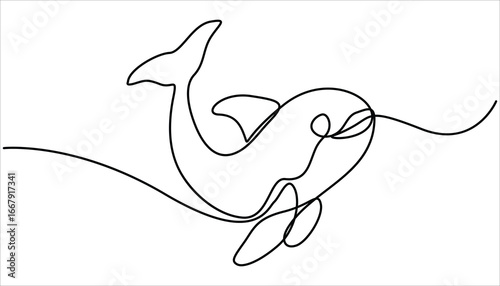 Continuous single drawn one line drawing of whale. Vector illustration, Bottlenose dolphin in single line draw. Simple illustration of humpback whale line art vector illustration.