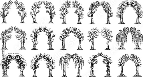 Vintage engraved illustration set of tree arch gateway for retro design