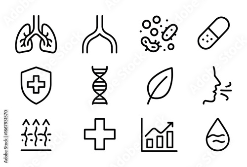 Respiratory Microbiome Icons. Outline icon set of respiratory microbiome: lungs, airway diagram, bacteria