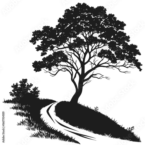 Tree canopy over trail silhouette