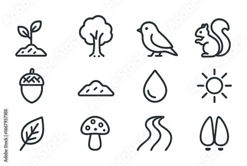 Forest Regeneration Icons. Outline icon set of Forest regeneration: sapling, tree, bird, squirrel, acorn, soil