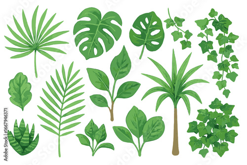 Watercolor set of tropical leaves and plants. Botanical illustration of monstera, palm, ivy, and ficus. Green jungle foliage design elements for summer. Exotic garden clipart.