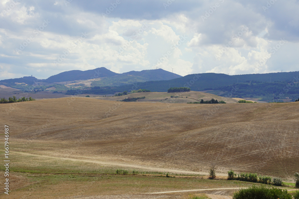 Fototapeta premium landscape with hills and mountains in valdera 