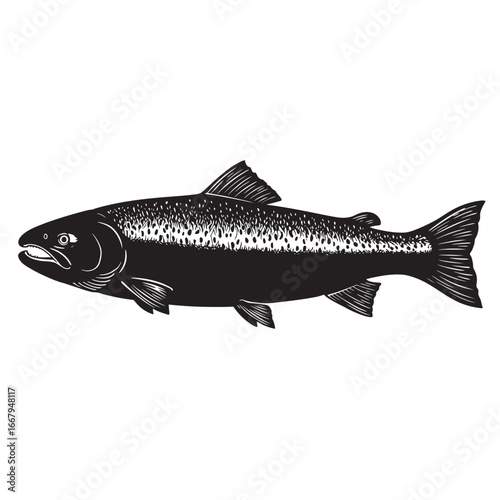 black and white silhouette vector of salmon with white background