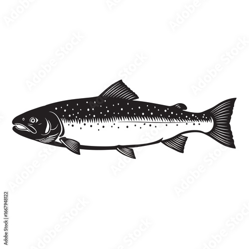 black and white silhouette vector of salmon with white background
