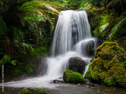 Educational image of waterfall for youth-focused nature awareness
Serene forest scene inspiring emotional growth and environmental values