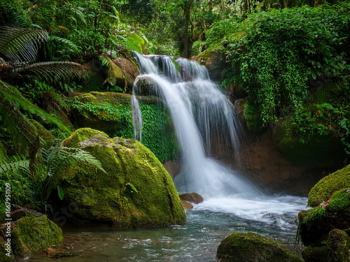 Waterfall scene promoting emotional connection to the natural world
Forest waterfall inspiring curiosity and environmental responsibility