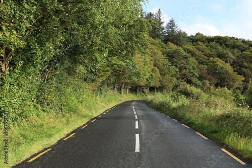 Photos Road bordered by forest and greenery in rural County Leitrim, Ireland