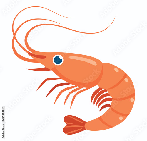 shrimp vector illustration