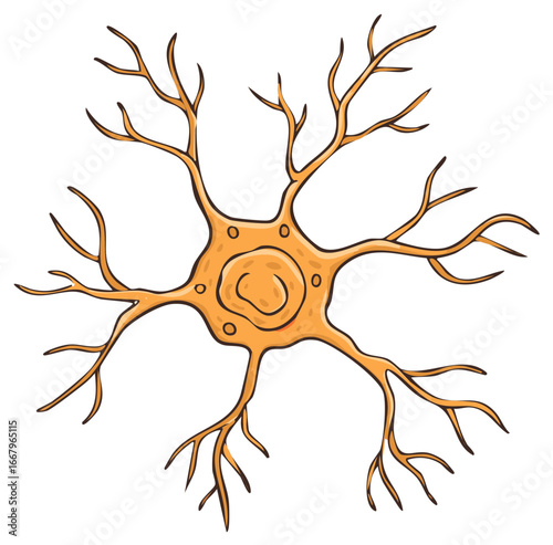 Illustration of a Neuron Cell Structure, Neuroscience Concept, Isolated Graphic