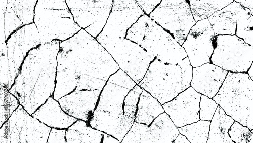 Obraz na plátně Abstract black and white cracked surface texture, ideal for backgrounds and desi