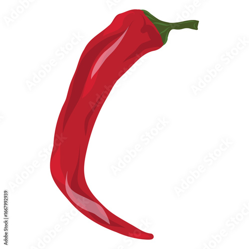 Red chili pepper vegetable vector, Spicy chili food illustration, Hot pepper ingredient design