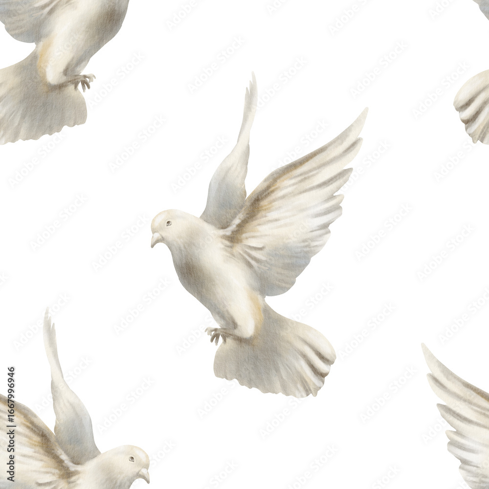 Obraz premium Seamless pattern of white pigeon soaring in air, dove spread its wings as a symbol of freedom and peace concept.Hand drawn watercolor illustration on white for spiritual wedding,nature-themed designs