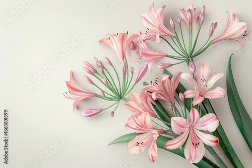 Delicate arrangement of pastel pink flowers with subtle shading against a soft background.