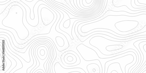 Abstract minimal The pattern discovery vector topo map creative discovery White wave grid stripe line map topography. vector geographic contour mounted map background.	