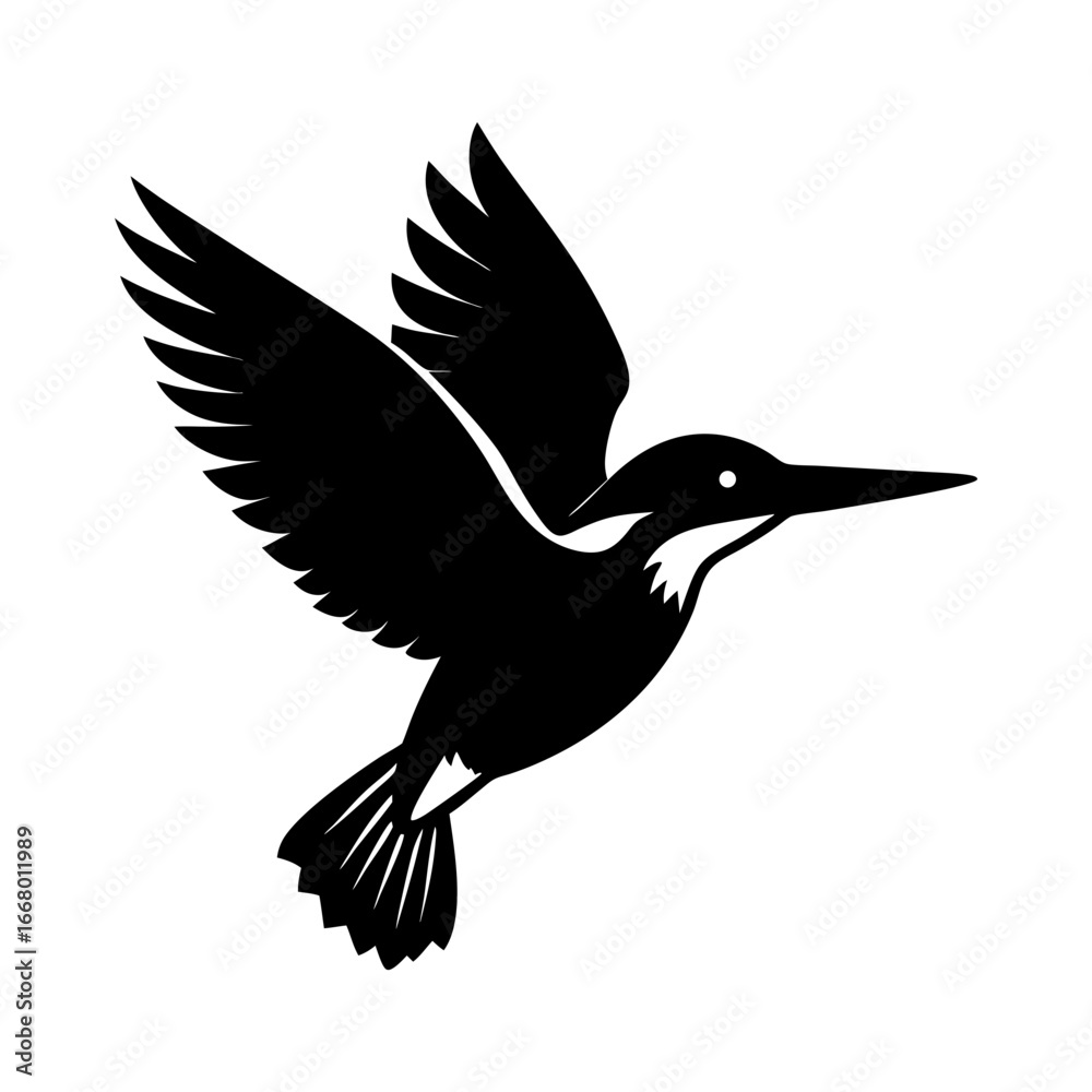 Obraz premium Silhouette of a kingfisher bird in flight with wings spread wide open