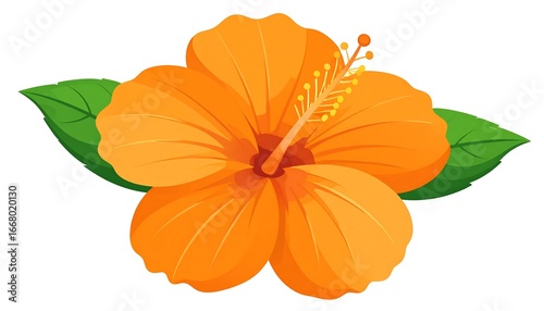 Vibrant orange hibiscus flower illustration (1)