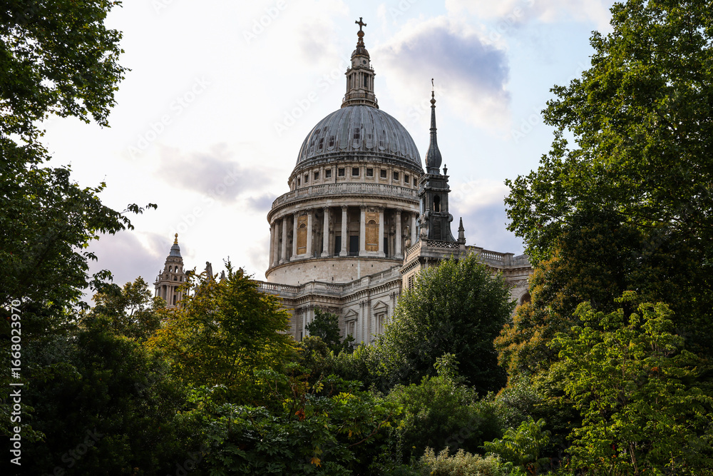 Fototapeta premium St Paul’s Cathedral Dome Through the Trees