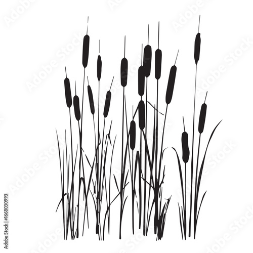 cattail silhouette set