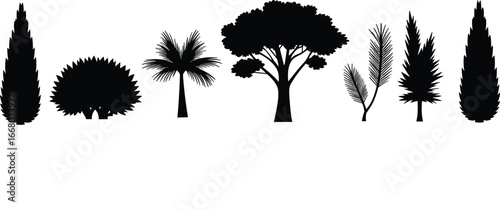 Silhouettes of different trees and plants, nature elements, forest design, tropical palm, evergreen, landscaping, garden decoration, environment, ecology, greenery