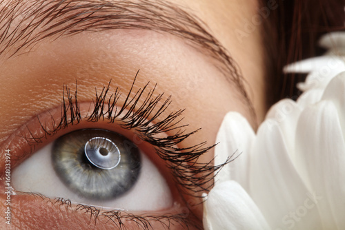 Close up of human blue eye with clean eyelashes and healthy skin, surrounded by white chrysanthemum petals. Concept of ophthalmology, eye care, medical health and clear natural vision