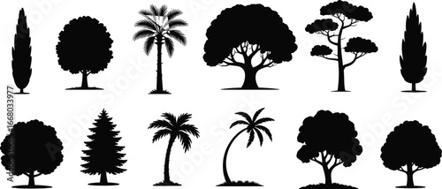 Tree silhouettes vector, forest nature set, tropical palm icons, evergreen pine illustration, deciduous tree design, eco collection, botanical elements