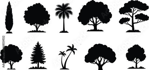 Tree silhouettes collection, forest nature icons, tropical palm vector, evergreen pine design, deciduous tree art, eco illustration, botanical elements