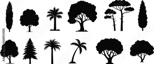 Tree silhouettes set, forest nature collection, tropical palm vector, evergreen pine art, deciduous tree design, eco illustration, botanical elements