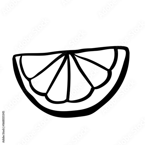 Lemon wedge. Orange slice. Doodle fruit cross section.