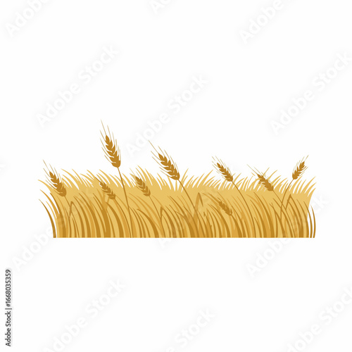 Golden wheat field illustration with ripe ears of grain in a stylized design