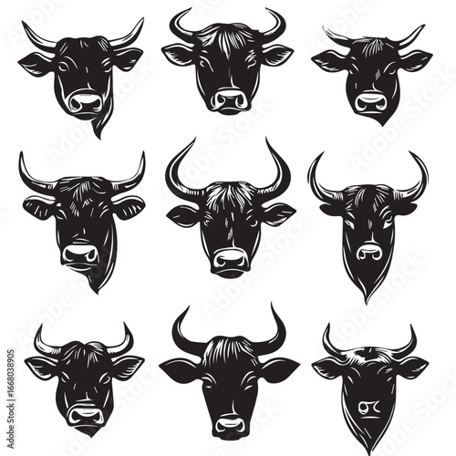 set of cow head