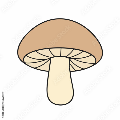 Simple Mushroom Illustration with Brown Cap and Creamy Stem, Isolated View.