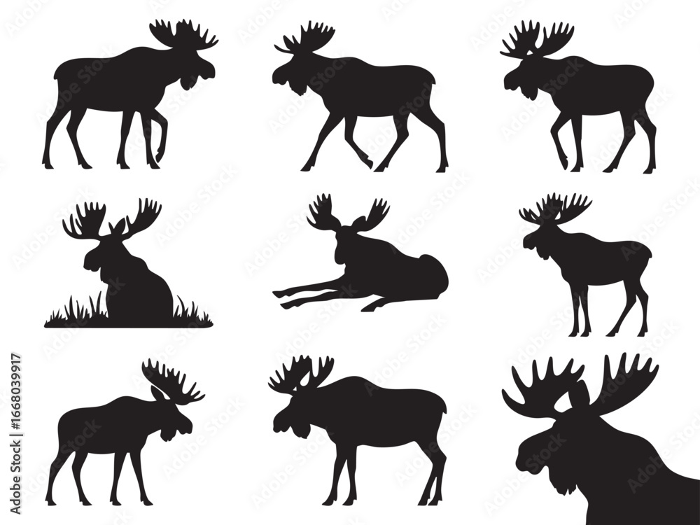 Fototapeta premium Black Silhouette of Moose in Various Poses Wildlife Mammal Vector Illustration Graphic Design Element for Decoration and Design Projects