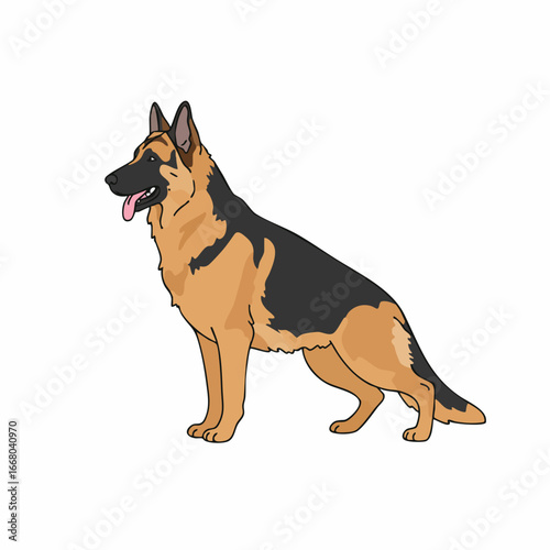 Alert German Shepherd Dog with Tongue Out, Standing Proudly in Profile