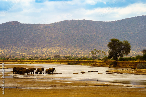 Herd of African elephants standing in a river, surrounded by dry savannah and mountains. Wildlife scene from a safari in Africa showing nature, water, and majestic animals in their natural habitat.
