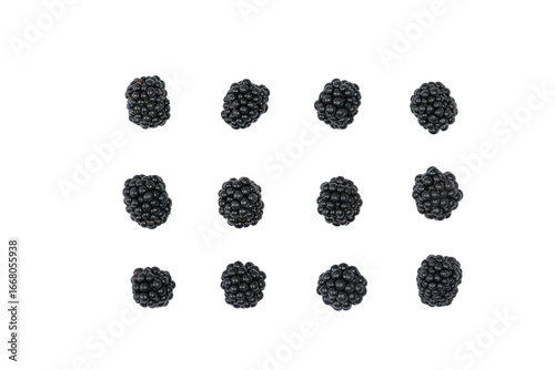 Blackberries – Isolated on Transparent Background, Top View