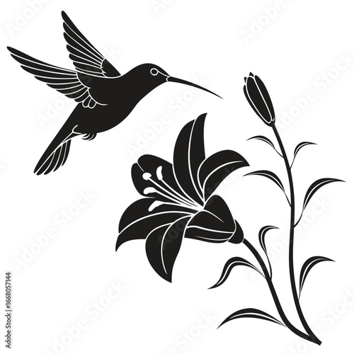 Hummingbird hovering over lily silhouette
